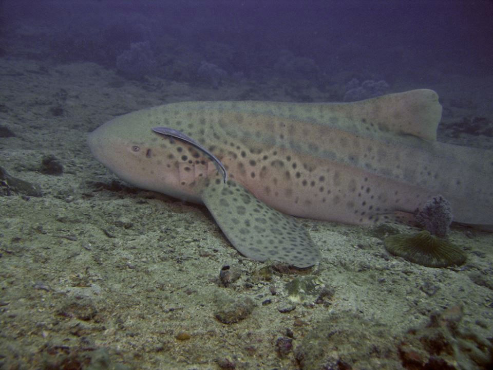 3ed7f369-a7c0-49e5-86a3-beae779aed89