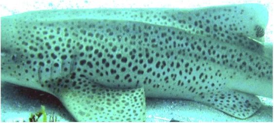 ac6b9f80-21e0-41f8-a157-8aae584ba00b