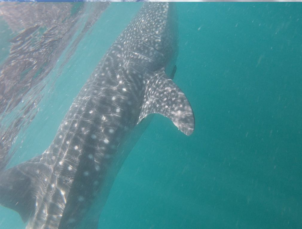 84c15845-3034-45dd-8929-e98517e37a2b