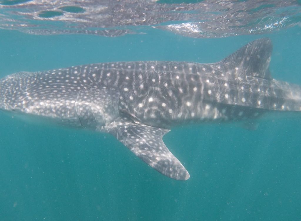 84c15845-3034-45dd-8929-e98517e37a2b