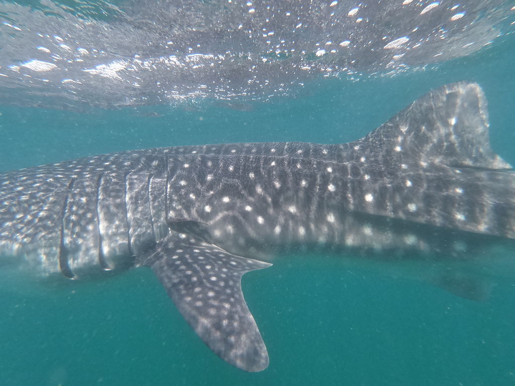 84c15845-3034-45dd-8929-e98517e37a2b