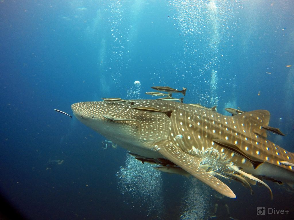 cc30eb75-4244-4d7b-b74f-e031bec84f15