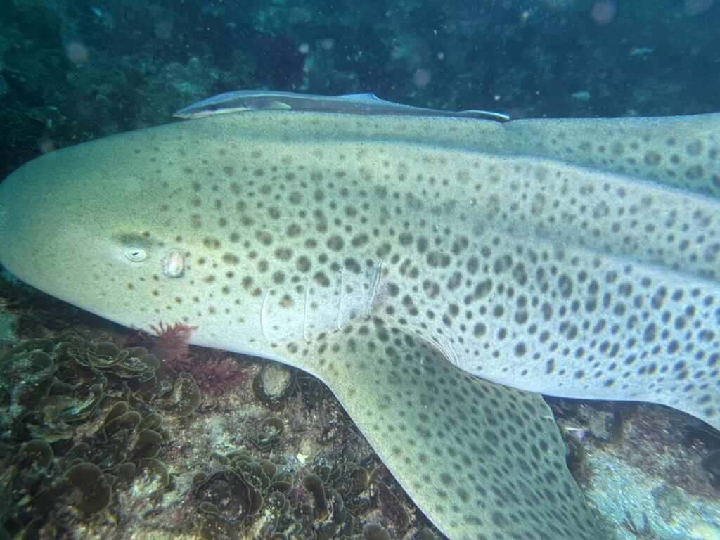 a1b97fe9-07c5-4189-8425-3d209f1a7847