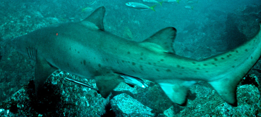 906e2234-b91e-4f46-a150-80f83078ca93