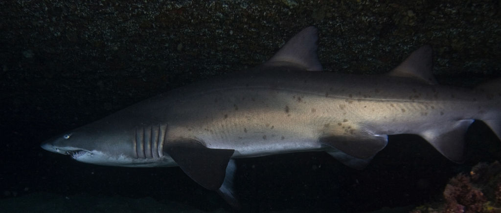 b1850550-673a-4698-9ba9-175da76e4134