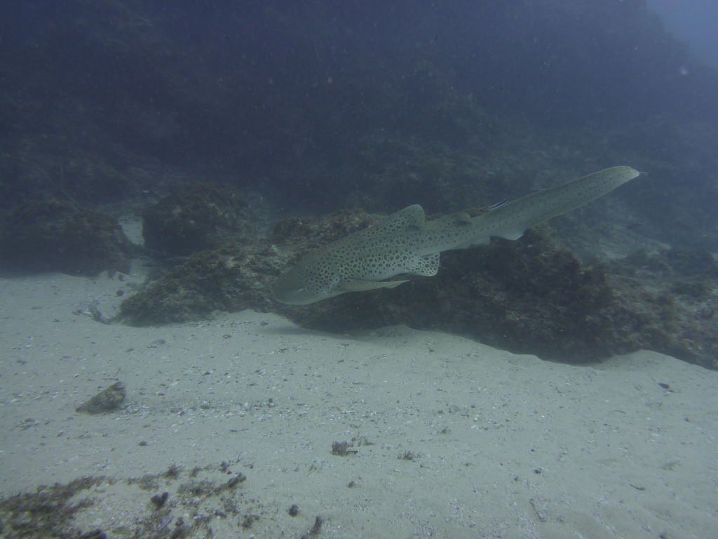 0d8453ce-2d0d-4141-b0dc-d2cb6607209b