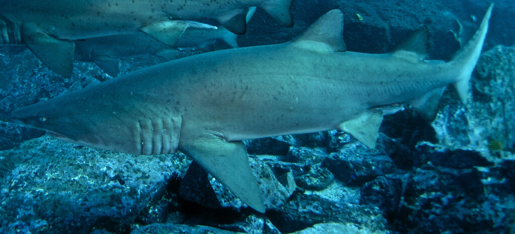 86886874-9df3-4d0c-8ffa-2122220791d1