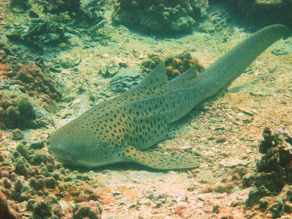 fe4aeac2-89ae-458a-9e30-052c4a5a808c