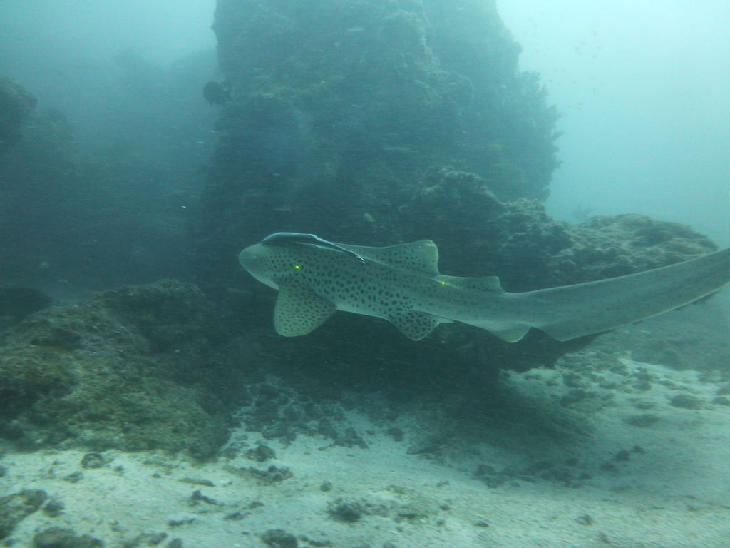 24ff3370-b1a0-4225-8efd-81e943ed4450