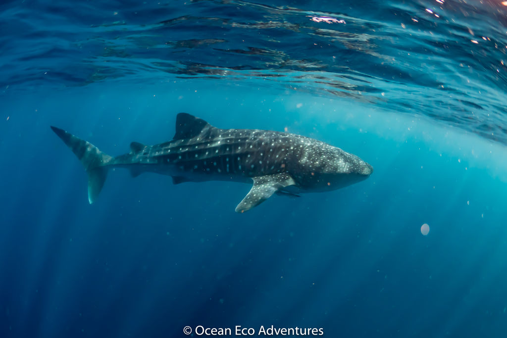 5e6c1361-2b48-4e90-b690-ea61ff163fcd