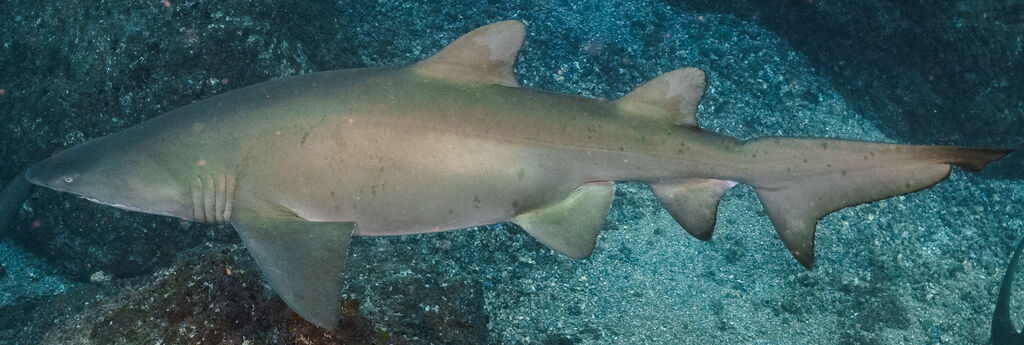 ae790ec9-51d8-4887-9cdb-b15e82bea0c4