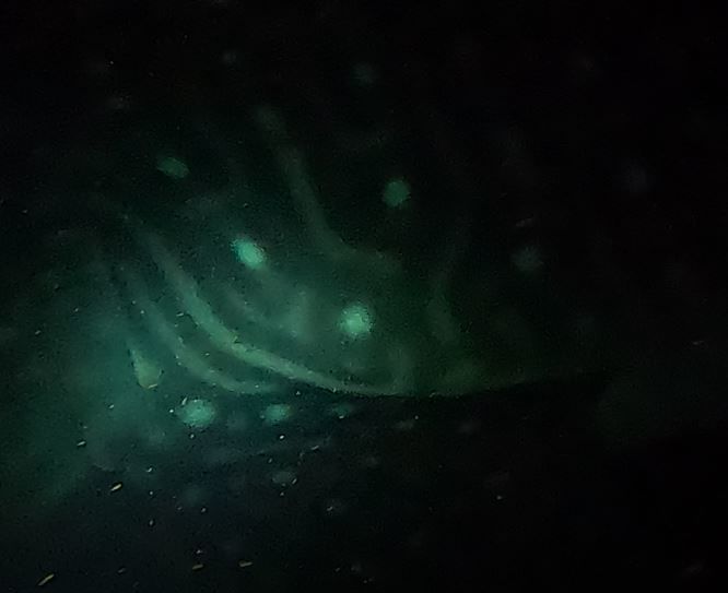 2e825c70-9ad3-4bdc-8a35-d34d77a82629