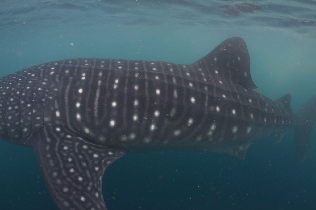 777d5e47-b06e-4e2f-9a6e-5c261cb17f12