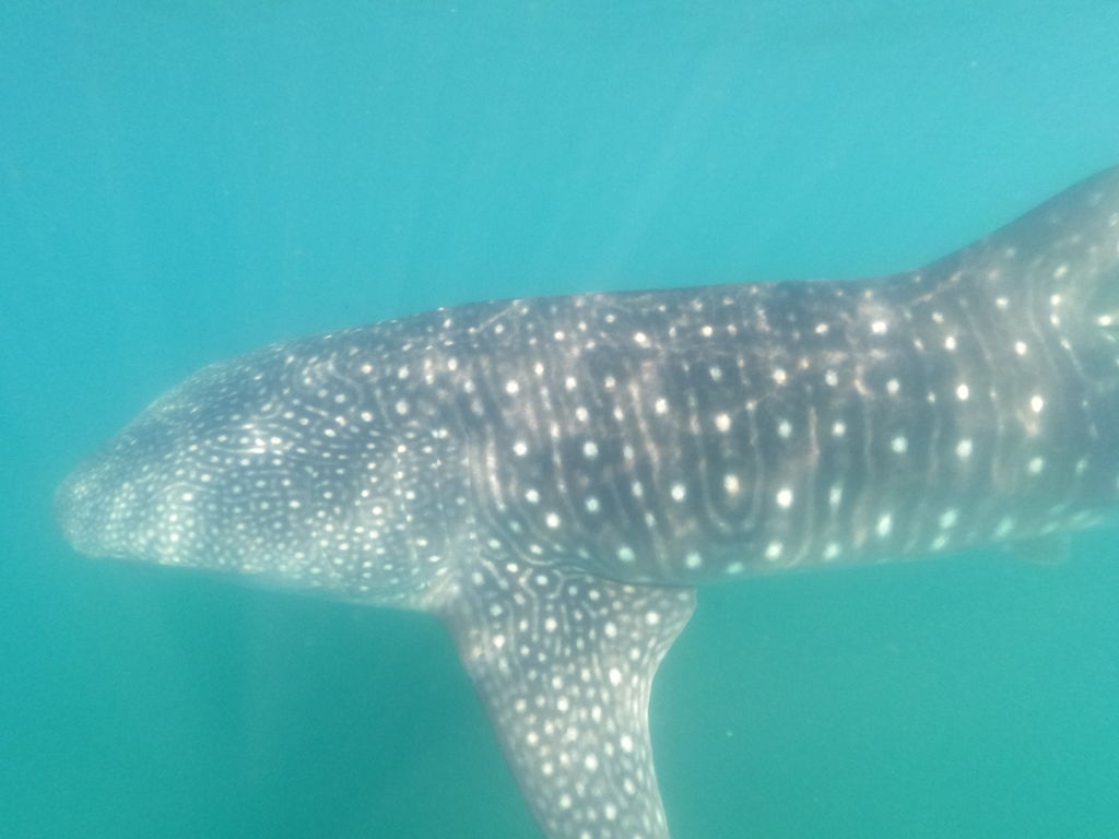 0906fab5-9c5c-4ac5-96b7-a2c3249342b4