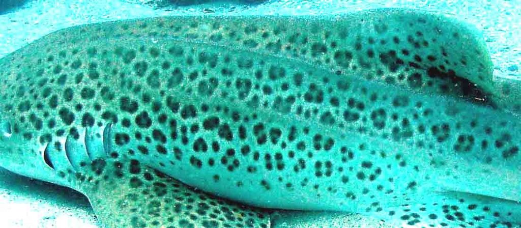 d421adf3-292a-4a83-8daf-349ed05bd5b3