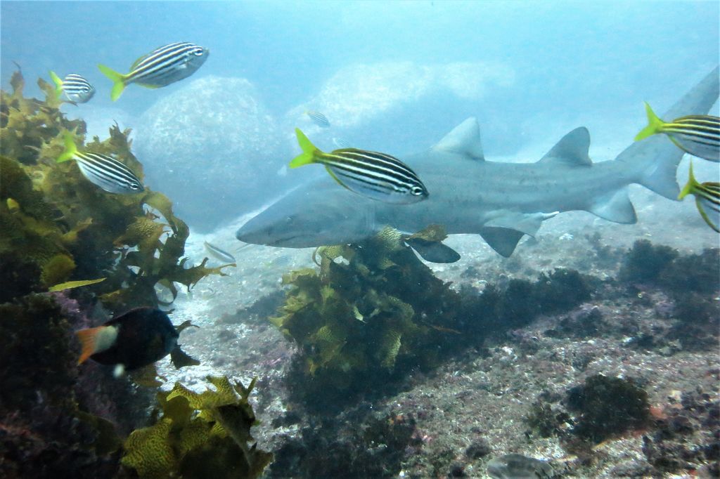 4c5b5824-bfe8-4938-b629-473cf0fb01ce