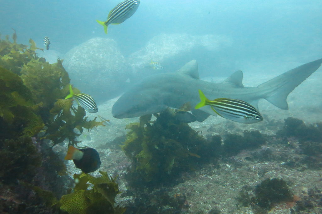 4c5b5824-bfe8-4938-b629-473cf0fb01ce