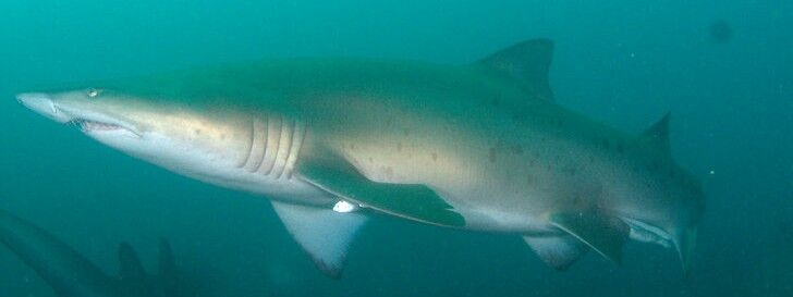 03c467fe-6e05-4247-bedb-c5055a4ab551