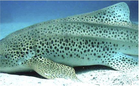 883bbe3c-0817-4ea9-9d56-16ba52d19379