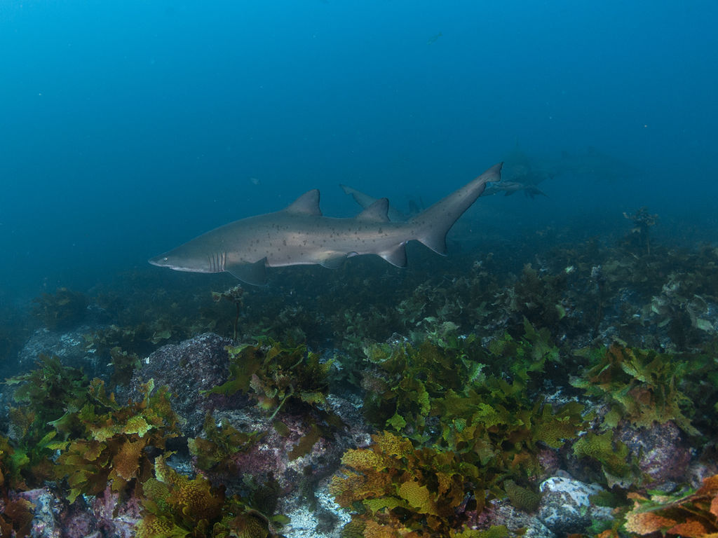 f27aa555-1b84-42d8-bce5-b2ab99967b4d