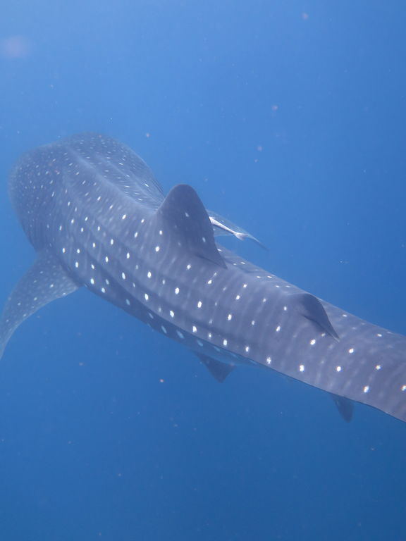 05aa9c2e-87bd-4293-9461-e2755dfe426a