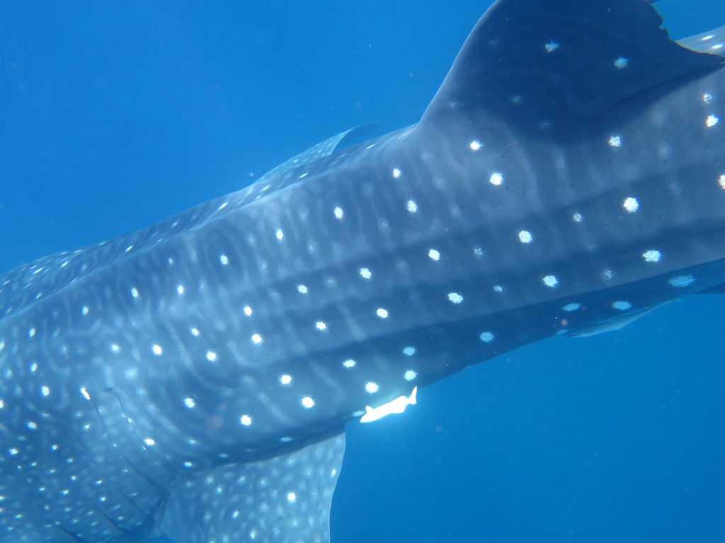 05aa9c2e-87bd-4293-9461-e2755dfe426a