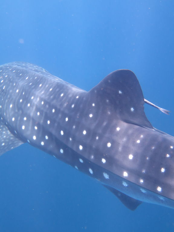 05aa9c2e-87bd-4293-9461-e2755dfe426a