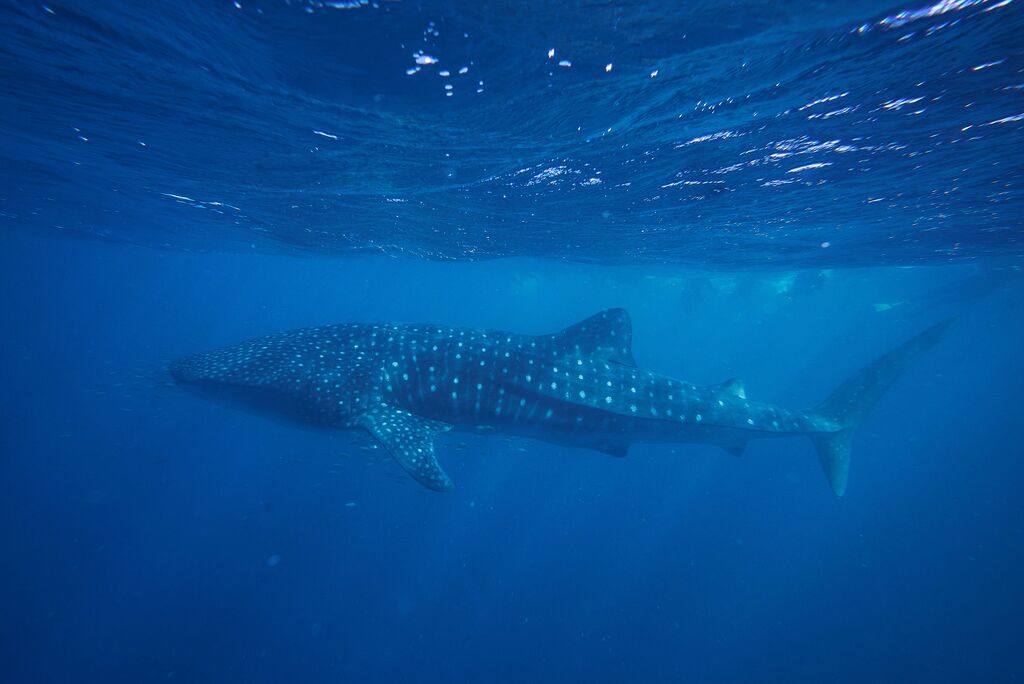 d90cf896-f424-412d-b96f-568225fee1e6