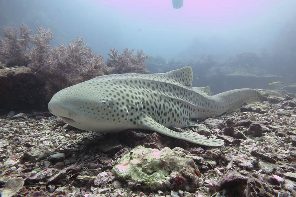 3e9799b5-6bd3-42a9-b512-502f1964cd61