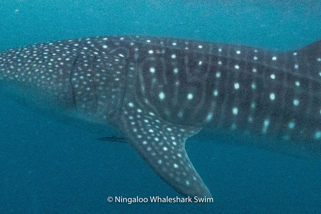 0905d0b5-53b5-415f-a752-f7c5281b931c