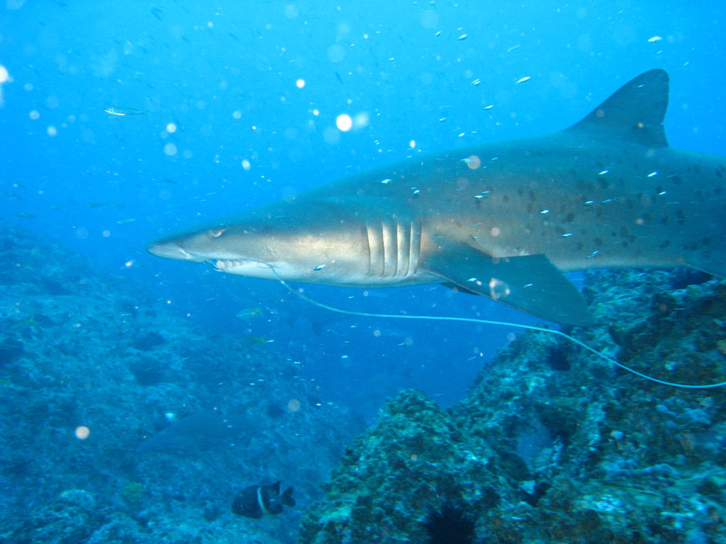 f7af28ed-da75-402f-ad22-148ff2cf764a