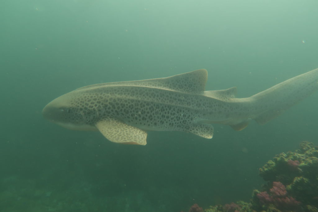 4e420f3b-d970-4971-9241-a6964447ffe2