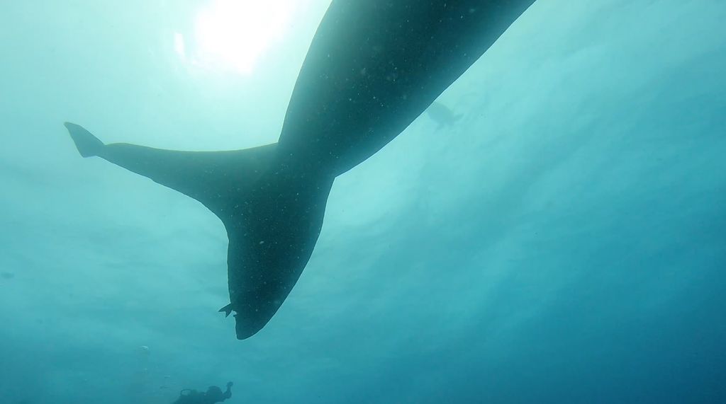 458720af-57b5-4b92-8320-69e23e154adc