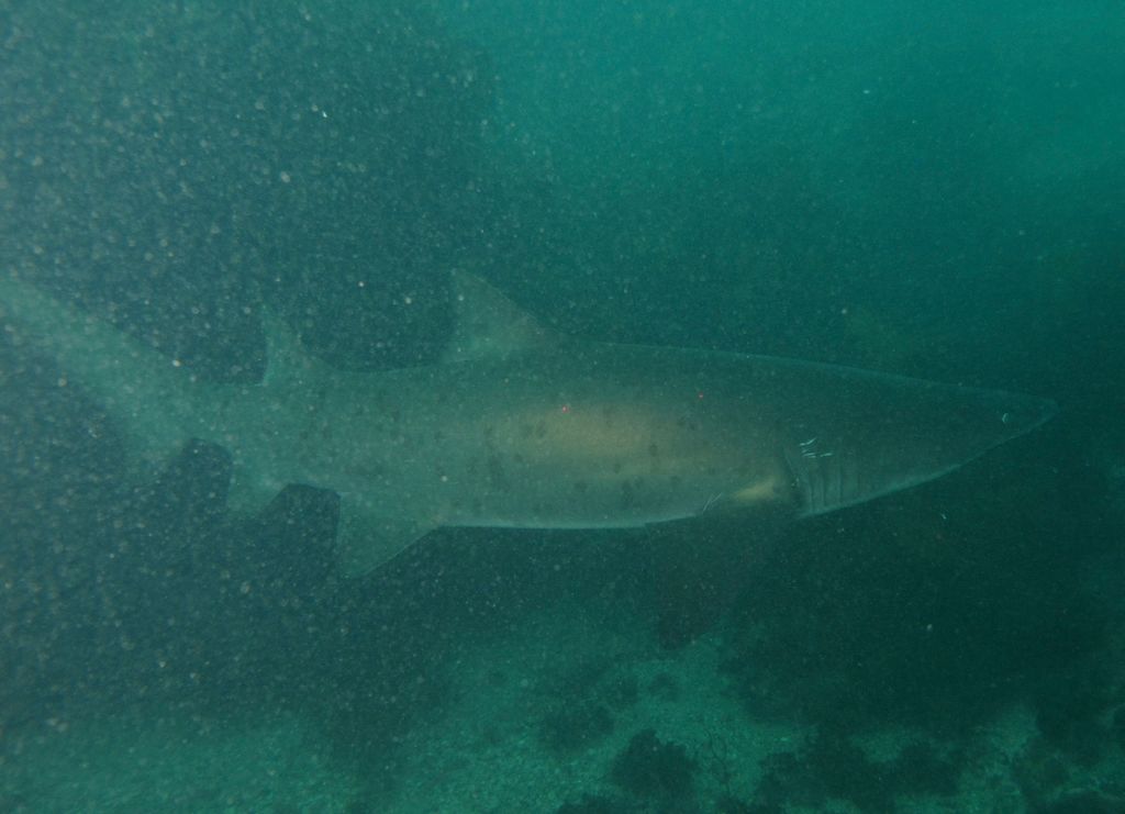 10061f27-8518-4c51-beb2-058a6abc8451