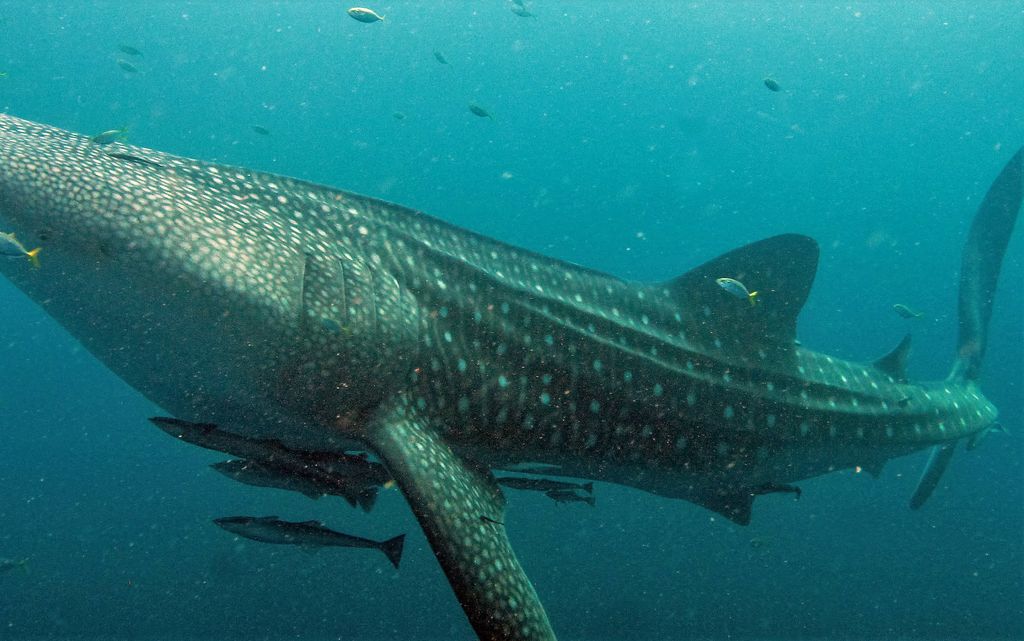 84b91658-b09e-4fc1-8cdd-ae9f0fa12724