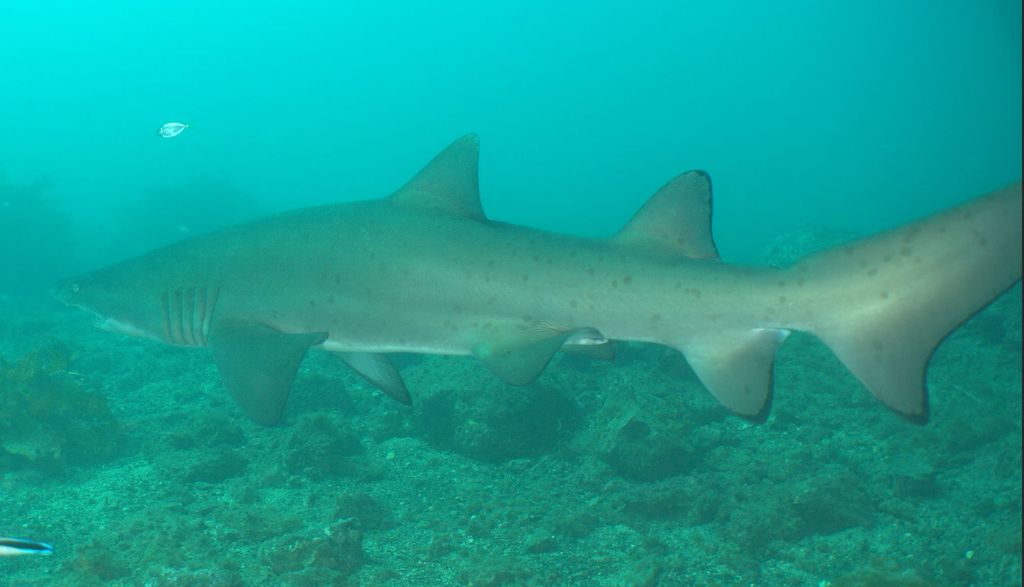 c3c6f44c-4614-4400-ae96-5c83ce794558