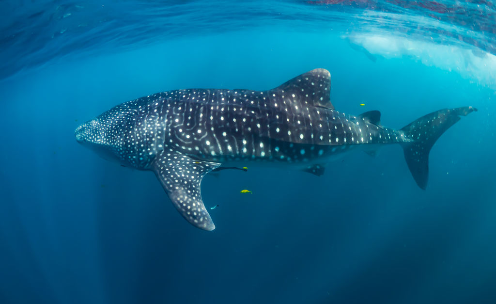 854cf81b-e6e8-4370-b95a-361129199fb1