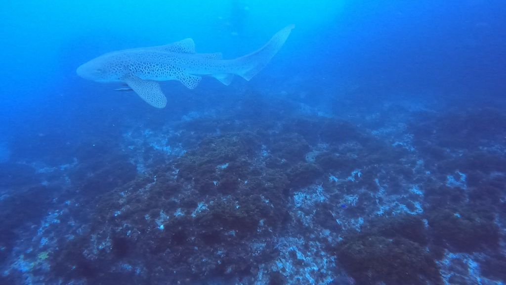 c4be4ea4-384f-4f34-beaf-9df2a7e94e1e