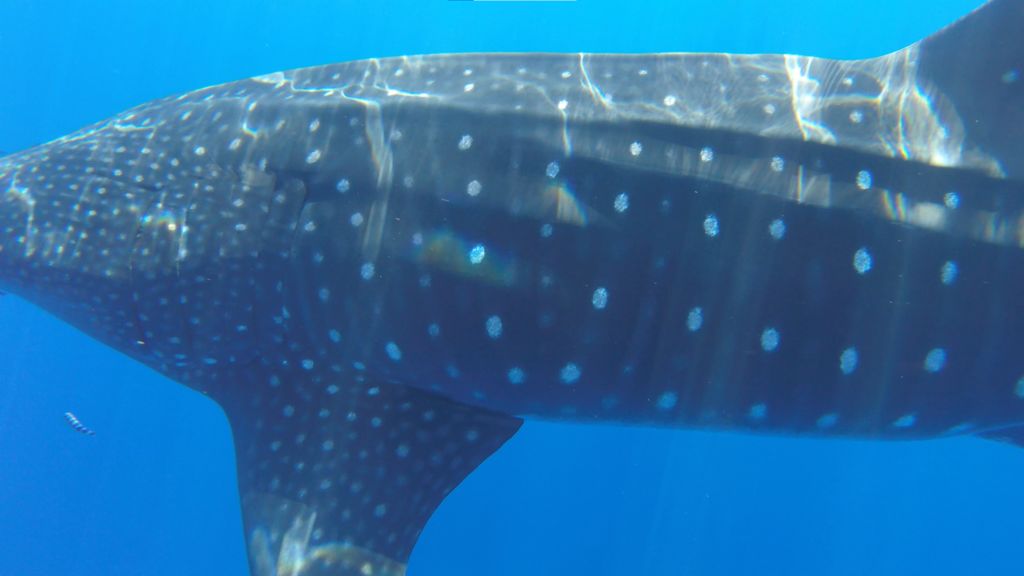 f3f1128b-1dfd-46fd-a536-c32db1c388c7