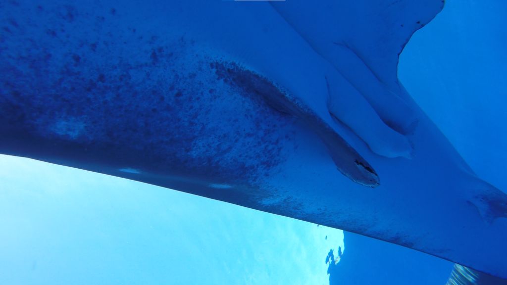 f3f1128b-1dfd-46fd-a536-c32db1c388c7