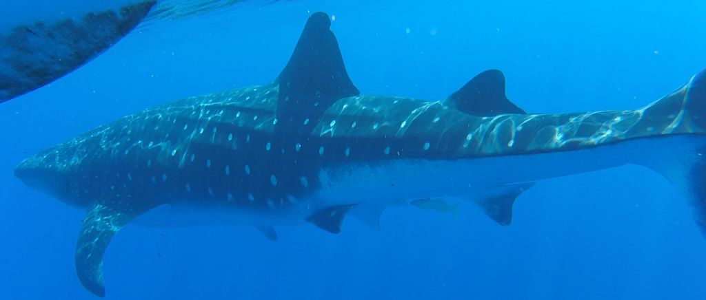 f3f1128b-1dfd-46fd-a536-c32db1c388c7