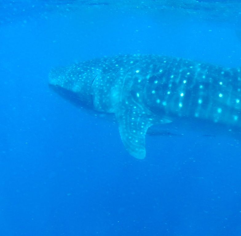 5b8e9b73-dcb9-409f-bcb2-6aeeb4a90820