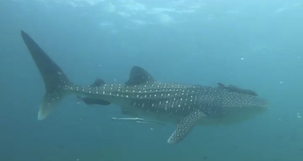 32346251-f83f-495e-8842-9d952d9f1bc6