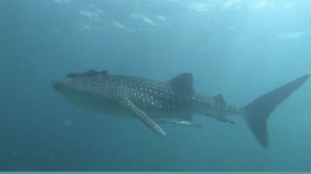 32346251-f83f-495e-8842-9d952d9f1bc6