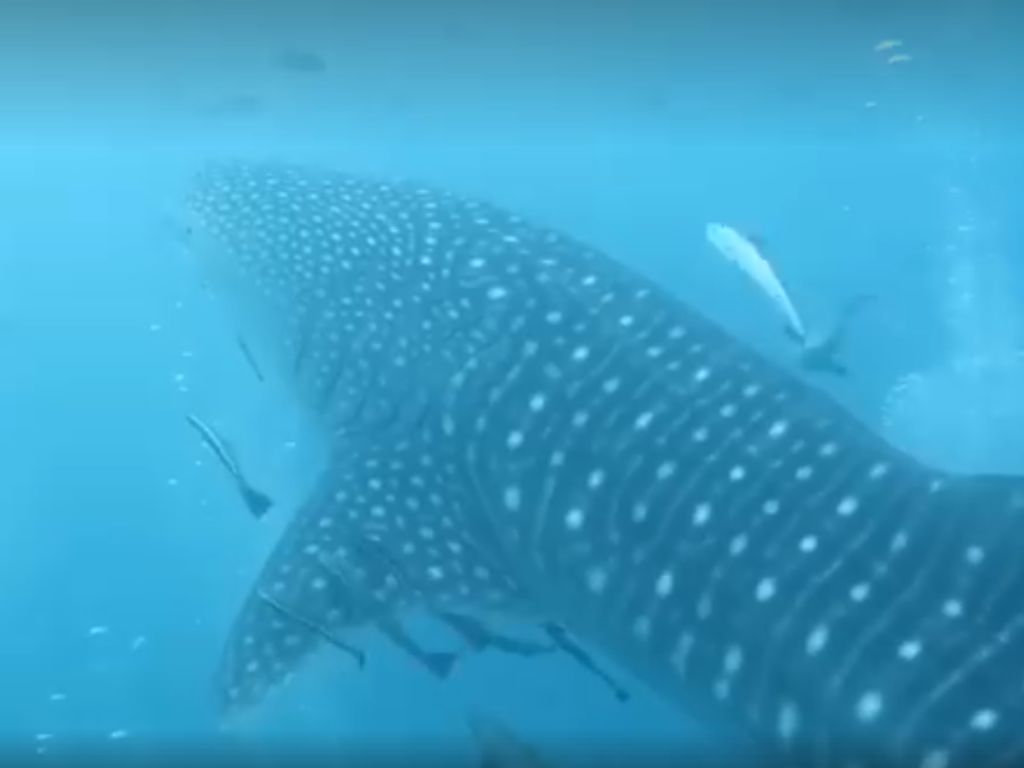 18faf15f-2fe9-49ec-8fa2-d2c871a799cf