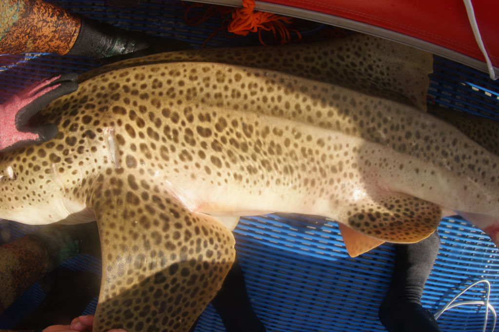 b35da0e8-7f33-44d3-9049-fb5569f3badb