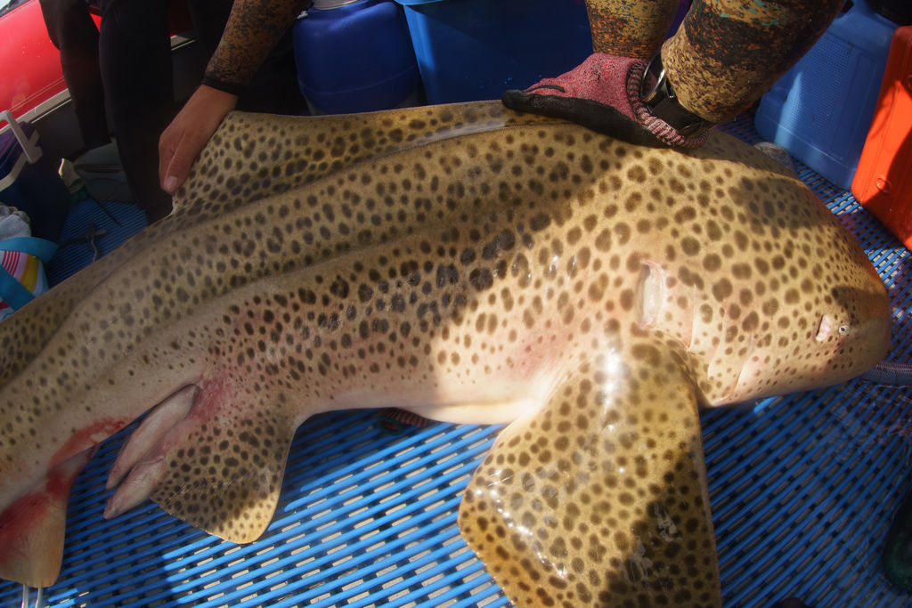 b35da0e8-7f33-44d3-9049-fb5569f3badb