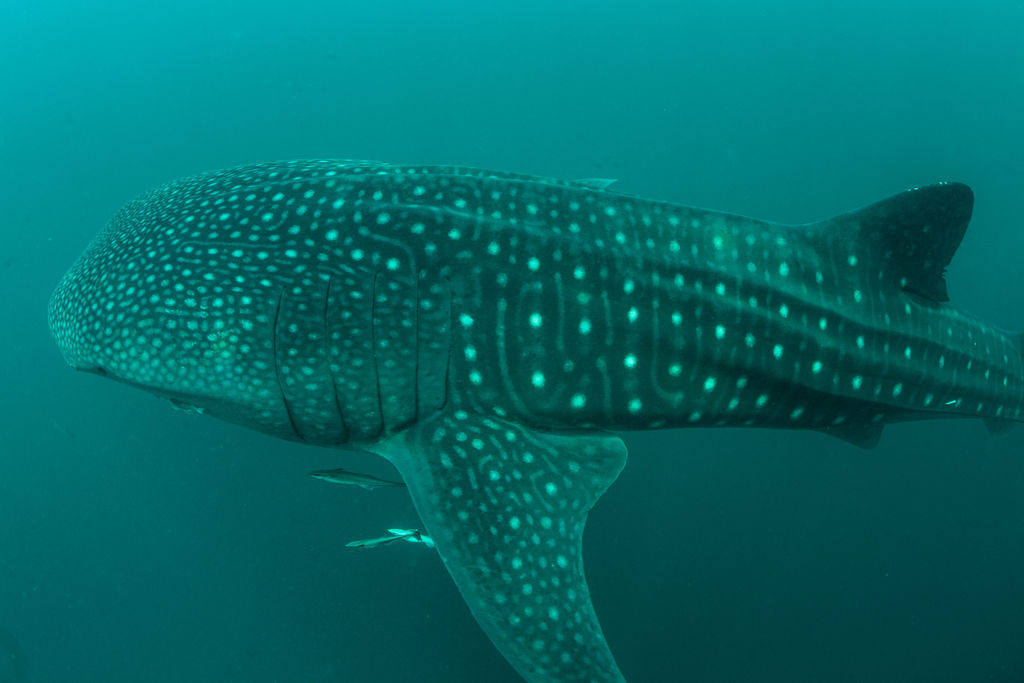 8205656b-9e67-47a9-98e4-492a59f561b9