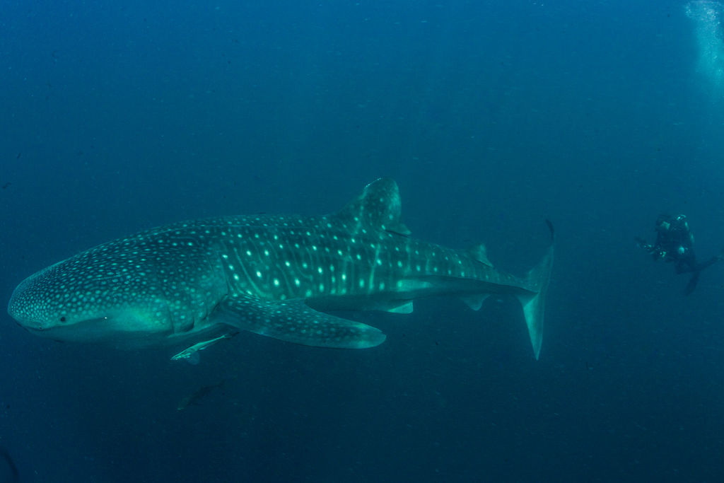 8205656b-9e67-47a9-98e4-492a59f561b9