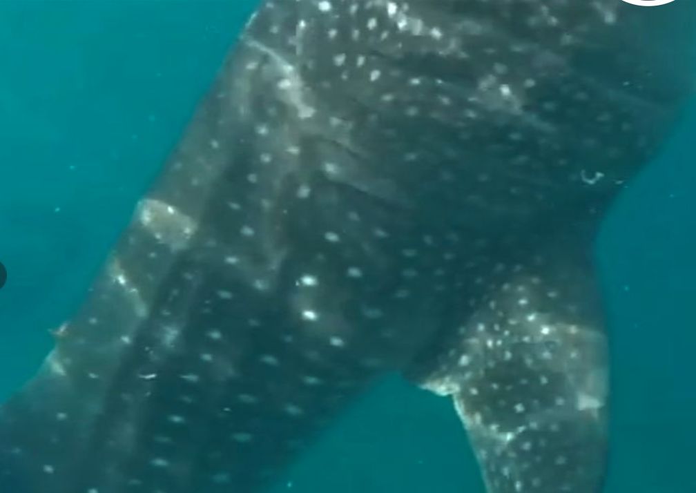 a97536b5-b050-4d72-9cec-eb42952c520b